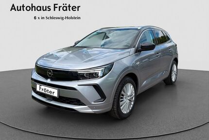 Opel Grandland (X) Gebrauchtwagen