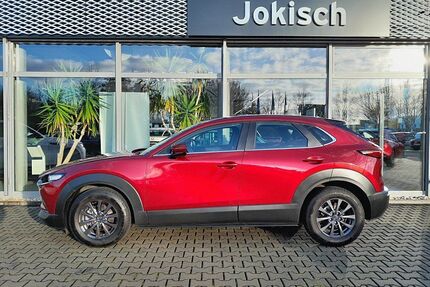 Mazda CX-30 Gebrauchtwagen