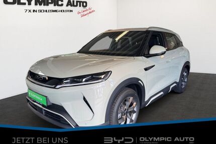 BYD ATTO 2 Gebrauchtwagen