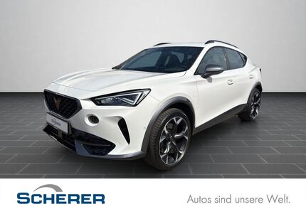 Cupra Formentor Gebrauchtwagen