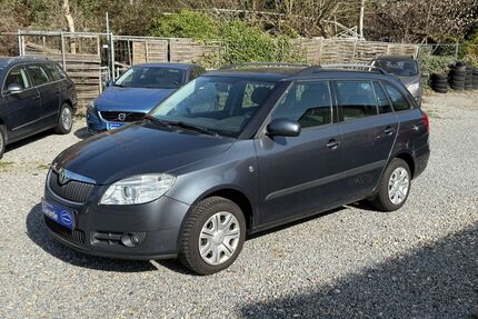 Skoda Fabia Gebrauchtwagen