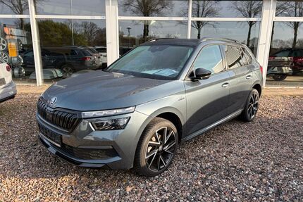 Skoda Kamiq Gebrauchtwagen