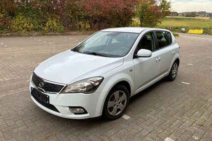 Kia ceed / Ceed Gebrauchtwagen