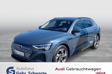Audi Q8 e-tron Gebrauchtwagen