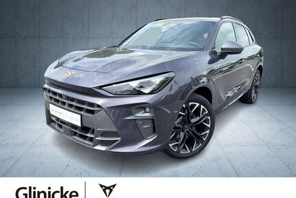 Cupra Terramar Gebrauchtwagen