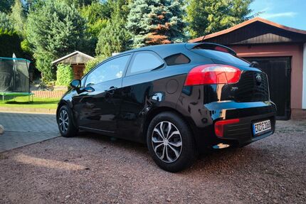 Kia Rio Gebrauchtwagen