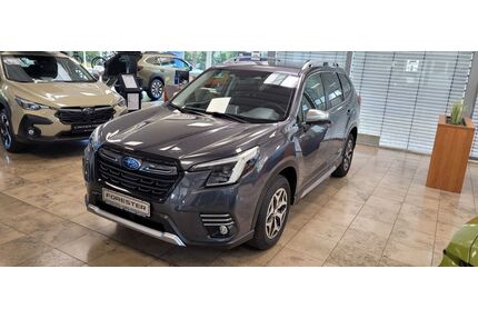Subaru Forester Gebrauchtwagen