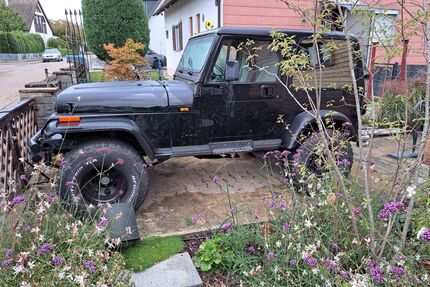 Jeep Wrangler Gebrauchtwagen