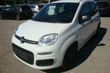 Fiat Panda Gebrauchtwagen