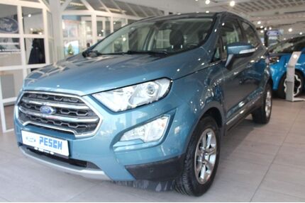 Ford EcoSport Gebrauchtwagen