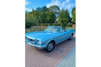 Ford Mustang Gebrauchtwagen