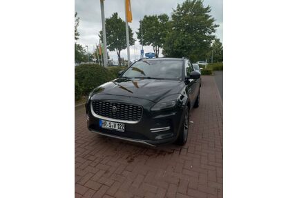 Jaguar E-Pace Gebrauchtwagen