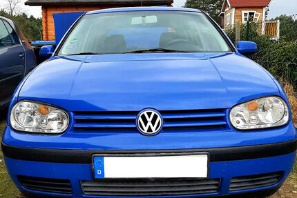 VW Golf Gebrauchtwagen