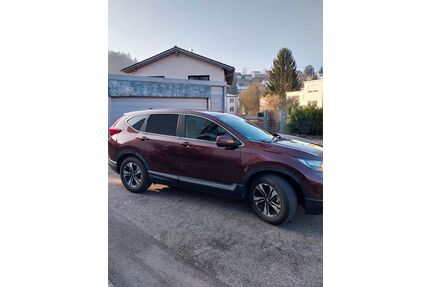 Honda CR-V Gebrauchtwagen