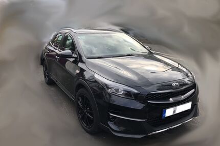 Kia XCeed Gebrauchtwagen