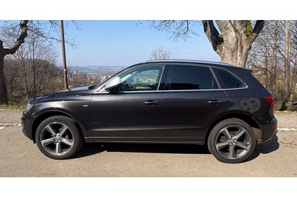 Audi Q5 Gebrauchtwagen
