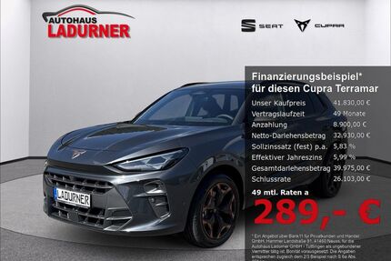 Cupra Terramar Gebrauchtwagen
