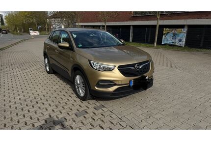 Opel Grandland (X) Gebrauchtwagen
