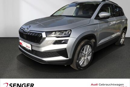 Skoda Karoq Gebrauchtwagen