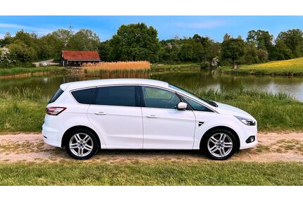 Ford S-Max Gebrauchtwagen