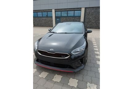 Kia pro ceed / ProCeed Gebrauchtwagen