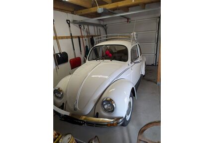 VW Käfer Gebrauchtwagen