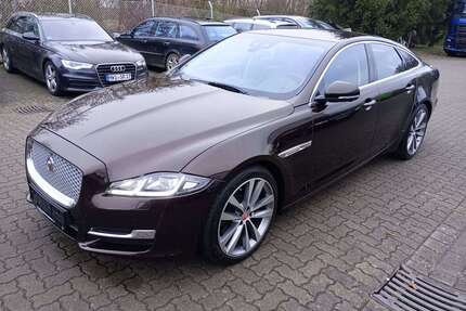 Jaguar XJ Gebrauchtwagen