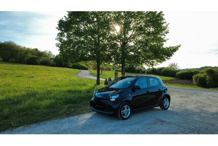Smart ForFour Gebrauchtwagen