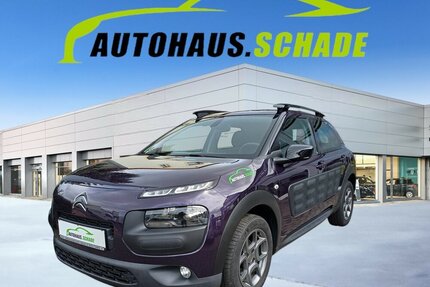 Suzuki C4 Cactus Feel 