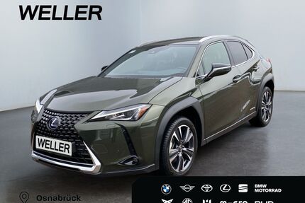 Lexus UX Gebrauchtwagen