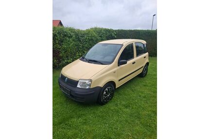 Fiat Panda Gebrauchtwagen