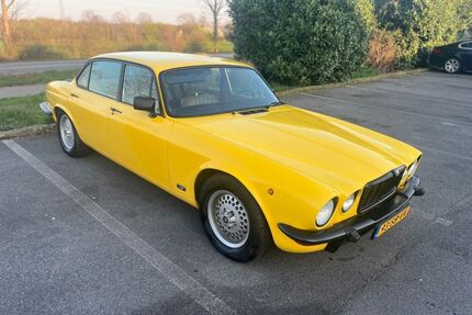 Jaguar XJ6 Gebrauchtwagen