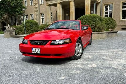 Ford Mustang Gebrauchtwagen