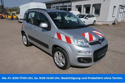 Fiat Panda Gebrauchtwagen
