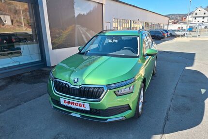 Skoda Kamiq Gebrauchtwagen