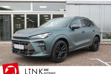 Cupra Terramar Gebrauchtwagen