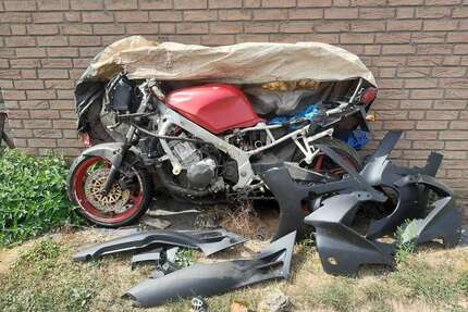 Honda CBR 600 Gebrauchtwagen