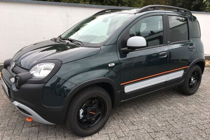 Fiat Panda Gebrauchtwagen