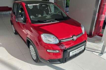 Fiat Panda Gebrauchtwagen