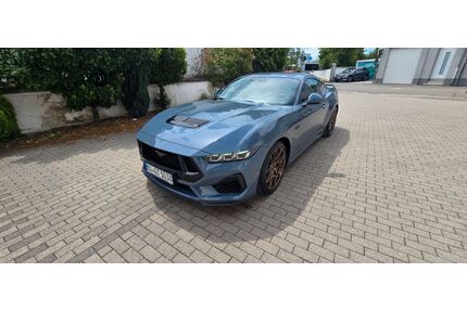 Ford Mustang Gebrauchtwagen