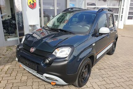 Fiat Panda Gebrauchtwagen