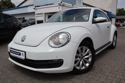 VW Beetle Gebrauchtwagen