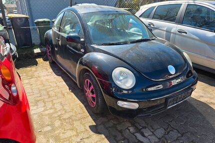 VW Beetle Gebrauchtwagen