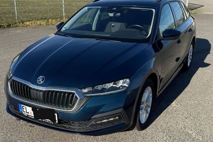 Skoda Octavia Gebrauchtwagen