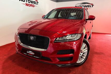 Jaguar F-Pace Gebrauchtwagen