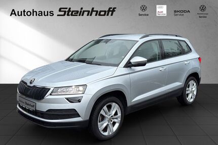 Skoda Karoq Gebrauchtwagen