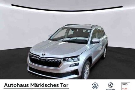 Skoda Karoq Gebrauchtwagen
