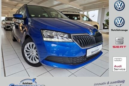 Skoda Fabia Gebrauchtwagen