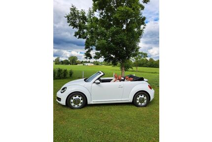 VW Beetle Gebrauchtwagen