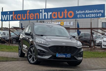 Ford Kuga Gebrauchtwagen